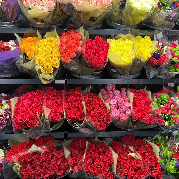 Mentor🤓 - Picture 9 of 16